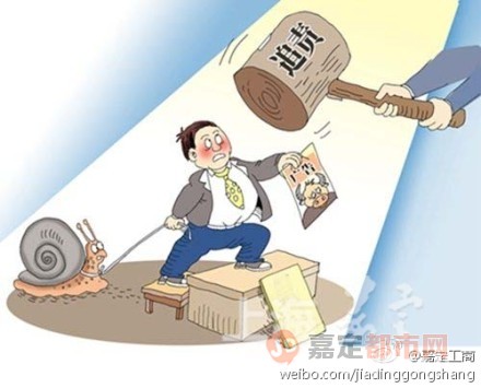马到成功是什么生肖?警惕虚假宣传,专家解答解释落实